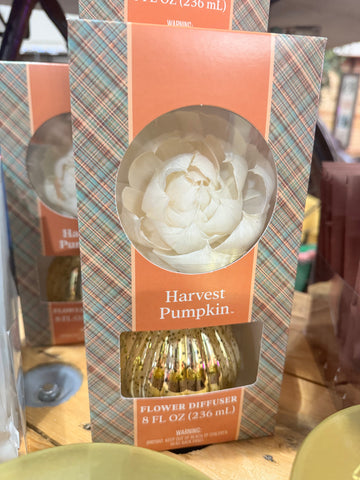 Pumpkin Diffuser
