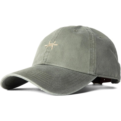 Texas Standard Cap- Agave